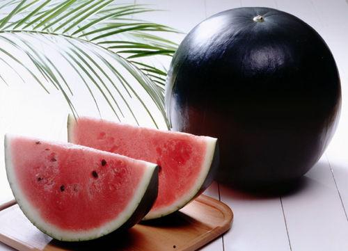 吃瓜网为什么一直存在,内容为王，紧跟潮流