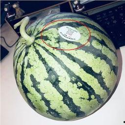 邯郸网红吃瓜,揭秘网络红人的幕后故事